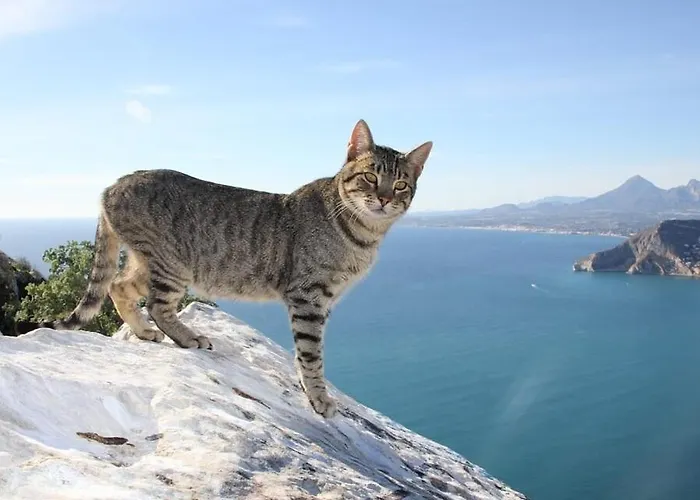 Amanda - Plusholidays * Кальпе