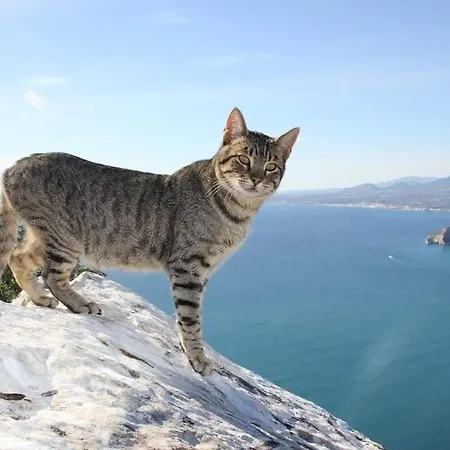 Amanda - Plusholidays * Calpe